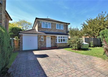 4 Bedroom  for rent