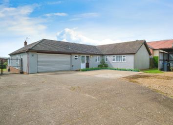 Thumbnail 4 bed bungalow for sale in Hillrow, Haddenham, Ely, Cambridgeshire