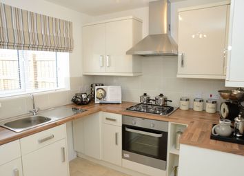 Thumbnail 3 bed semi-detached house for sale in The Fergus, Cargo Fleet Lane, Middlesbrough