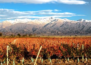 Thumbnail Land for sale in Mendoza, Uco Valley, Argentina