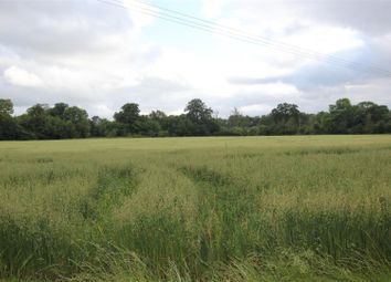 Thumbnail Land for sale in Plot Furzen Lane, Walliswood, Dorking, Surrey