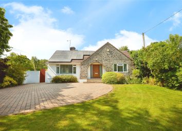 Thumbnail 4 bed bungalow for sale in Fir Tree Close, St. Leonards, Ringwood, Dorset