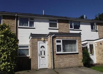 3 Bedroom  for rent