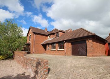 Thumbnail 4 bed detached house to rent in Langley Hall, Newtownabbey, County Antrim