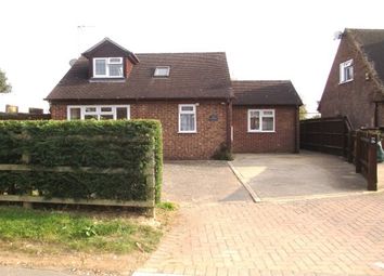 2 Bedroom  for rent