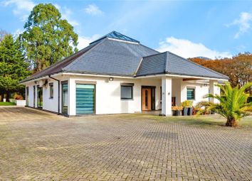Thumbnail Bungalow for sale in Upper Northam Drive, Hedge End, Southampton, Hampshire