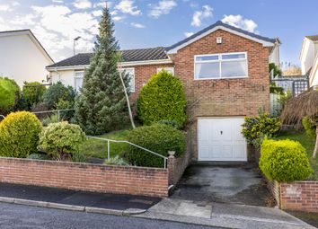 Property listing in Paignton, Devon