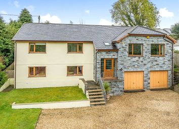 Thumbnail Detached house for sale in St. Dominick, Tamar Valley, Cornwall