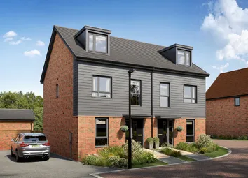 Owlton CGI