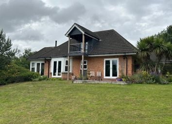 30Aa7Fb6-4Ec6-4Bee-Ac32-Ff285Dbc9Fb0