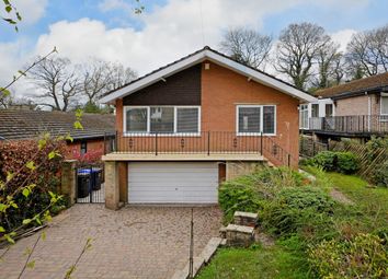 Thumbnail Bungalow to rent in Devonshire Road, Dore, Sheffield