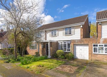 Thumbnail Link-detached house for sale in Holly Road, Chelsfield, Orpington