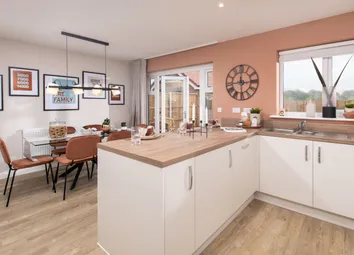 Showhome Photography