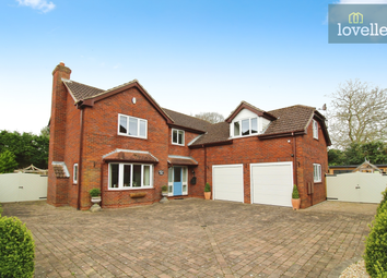 Thumbnail Detached house for sale in Augusta Oaks, Grimsby