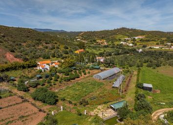 Thumbnail 4 bed farmhouse for sale in Silves Municipality, Portugal