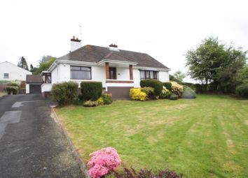 Thumbnail Detached bungalow for sale in Crossgar Road, Ballynahinch