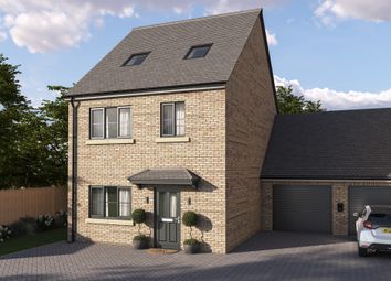 Thumbnail Detached house for sale in Lime Walk, Long Sutton, Spalding