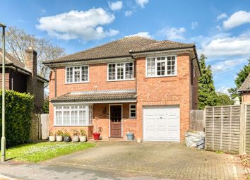 Thumbnail Detached house for sale in Armadale Road, Woking