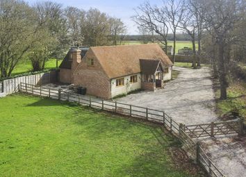 Thumbnail Detached house to rent in Abbess Road, Little Laver, Essex