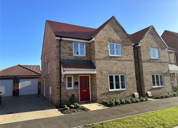 Thumbnail Detached house for sale in Sorrel Grove, Cringleford, Norwich, Norfolk