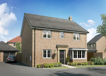 Pembroke Plot-50