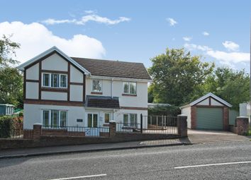Thumbnail Detached house for sale in Park Drive, Bargoed
