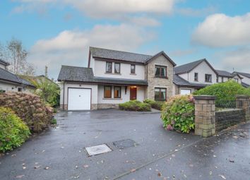 Thumbnail 4 bed detached house for sale in Dollerie Terrace, Crieff