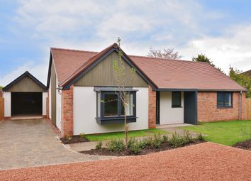 Ross on Wye - Bungalow for sale                    ...