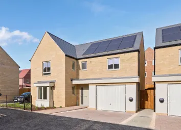 Darwin Green Plot 137
