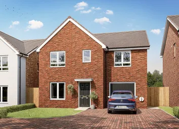 An Artist's Impression Of The Chalham