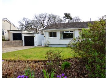 Thumbnail 3 bed semi-detached bungalow for sale in Murroes Place, Dundee