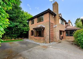 Thumbnail 4 bed detached house for sale in Warfield, Berkshire