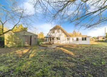Thumbnail Detached house for sale in Loch Lane, Watton, Thetford, Norfolk