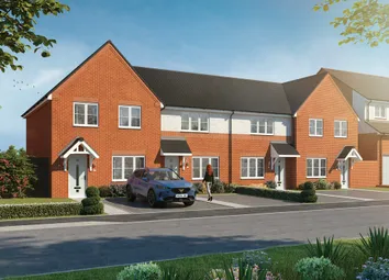 CGI Of The Hornbeam