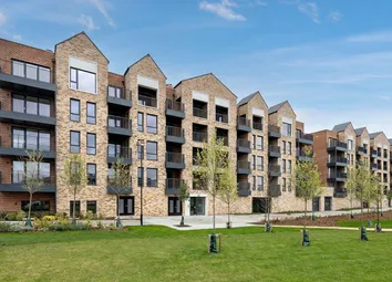 The Brenner, Number 219