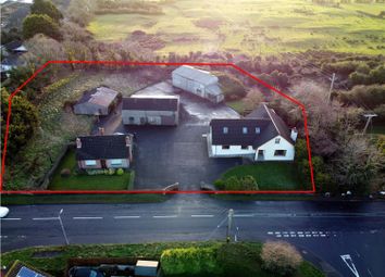 Thumbnail Detached house for sale in 23A &amp; 25 Manse Road, Carrowdore, Newtownards
