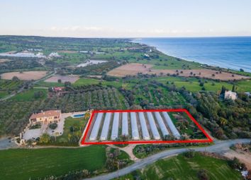 Thumbnail Land for sale in Agios Theodoros, Cyprus