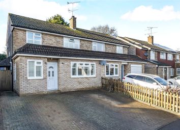 Thumbnail 3 bed semi-detached house for sale in Ripley, Surrey