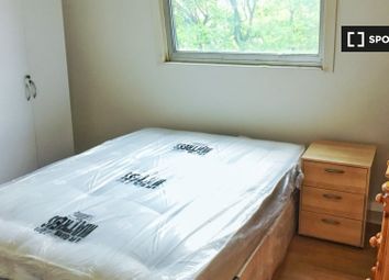 5 Bedroom Flat for rent