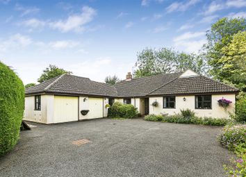 Thumbnail 4 bed detached bungalow for sale in Cornish Close, Horseheath, Cambridge