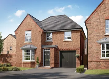 Millford CGI