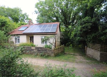 Thumbnail Bungalow for sale in Frogham, Fordingbridge