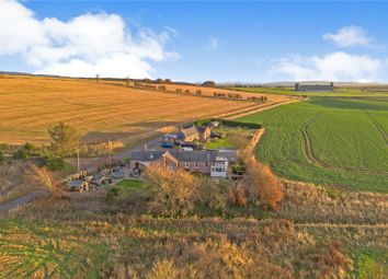 Thumbnail 2 bed semi-detached house for sale in Menmuir, Brechin, Angus