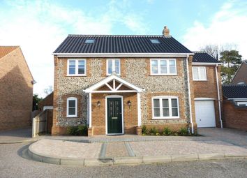 Thumbnail 6 bed detached house to rent in Mill Road, Frettenham, Norwich