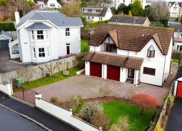 Newton Abbot - 4 bed detached house for sale