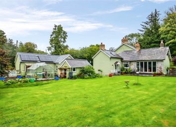 Thumbnail Detached house for sale in Aberteifi, Cardigan