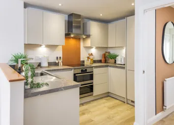 Afonlas_Kingsville Kitchen