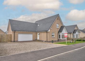 Thumbnail Detached house for sale in Merlin Grove, Forfar