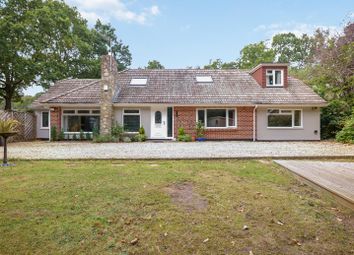 Thumbnail 4 bed detached bungalow for sale in Golf Links Road, Ferndown