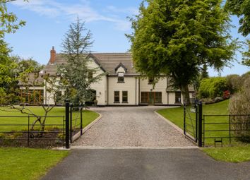 Craigavon - Detached house for sale